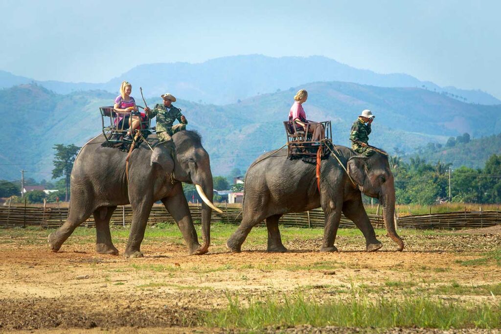 Touristen reiten auf Elefanten mit Sätteln bei Buon Ma Thuot in Vietnam, Elefantenreiten gilt als nicht verantwortungsvolle Aktivität aufgrund des Tierwohls