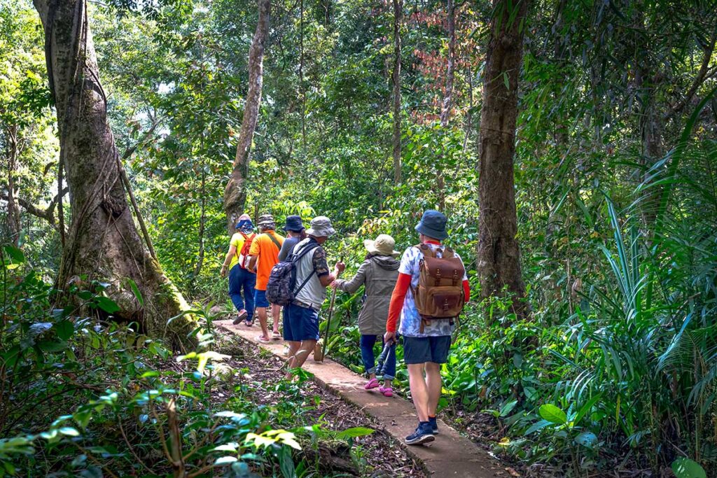 Gruppe von Reisenden wandert auf einem schmalen Pfad durch den Dschungel in Vietnam, auf dem Weg zu bleiben ist ein wichtiger Teil des verantwortungsvollen Reisens in der Natur Vietnams