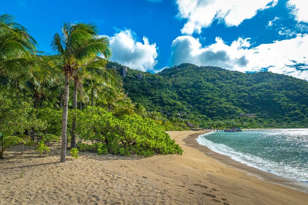 Goldgelber Strand der Ninh Van Bay mit Palmen, einem Holzsteg und Booten, die vor einem im Dschungel verborgenen Resort vor Anker liegen — nur per Boot von Nha Trang aus erreichbar