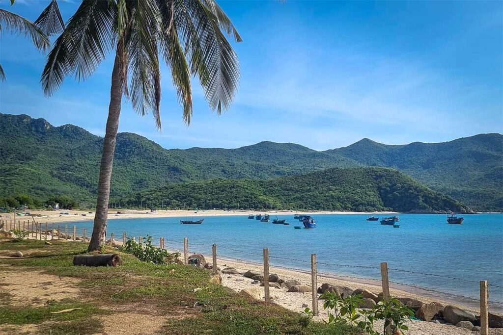 Strand von Ninh Van mit einer Palme im Vordergrund, Fischerbooten in der ruhigen Bucht und üppigen grünen Hügeln im Hintergrund — das Fischerdorf liegt isoliert am Rand der Bucht